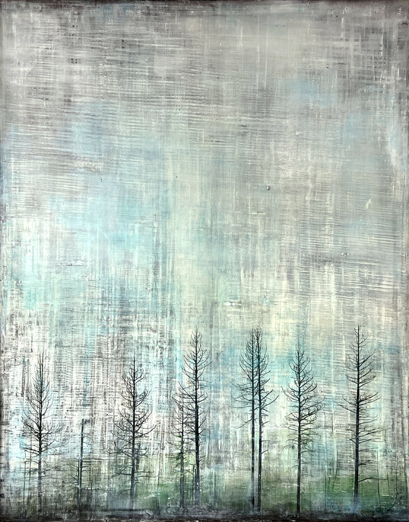 Sparse Robert Tillberg