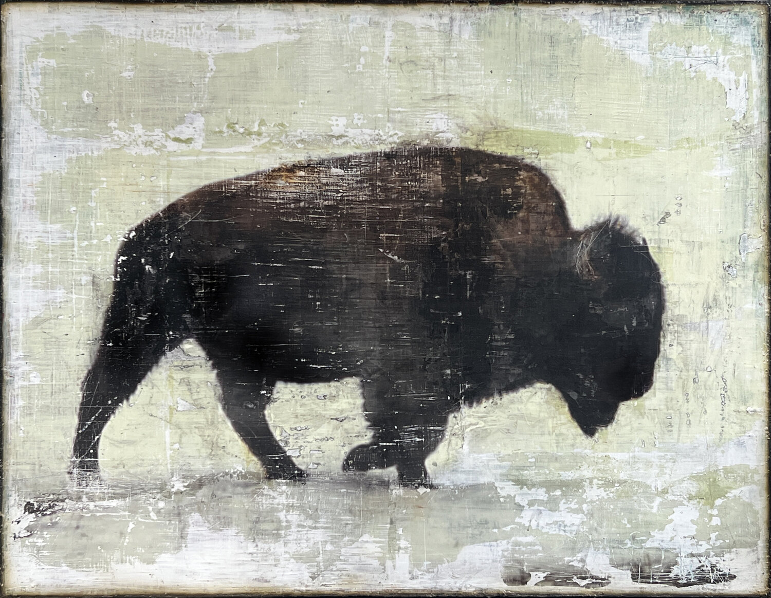 The Old Buffalo Robert Tillberg