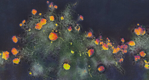 Constellation di Michel Guillaumeau, Digitale in vendita su Singulart