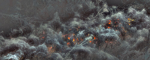 Chaos primitif von Michel Guillaumeau, Digital kaufen auf Singulart