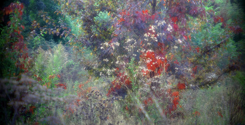 Formes et couleurs von Michel Guillaumeau, Digital kaufen auf Singulart