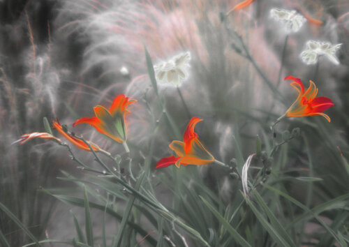 Fleurs célestes di Michel Guillaumeau, Digitale in vendita su Singulart