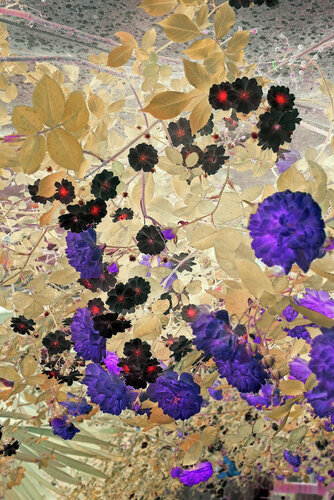Fleurs minérales di Michel Guillaumeau, Digitale in vendita su Singulart