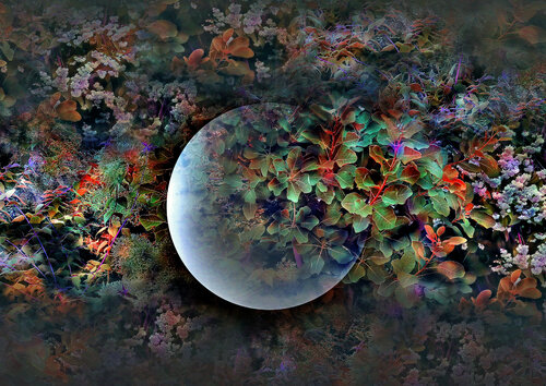 Abondance by Michel Guillaumeau, Digital for Sale on Singulart