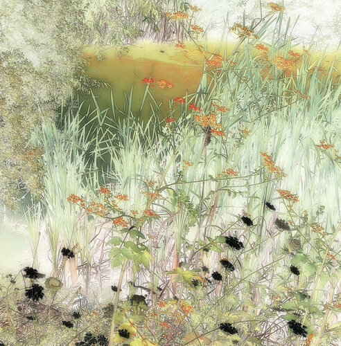 Herbes folles von Michel Guillaumeau, Fotografie kaufen auf Singulart