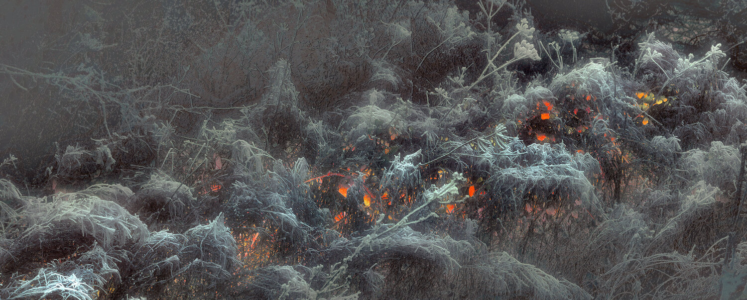 Chaos primitif Michel Guillaumeau