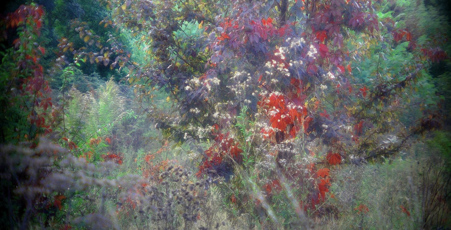 Formes et couleurs Michel Guillaumeau