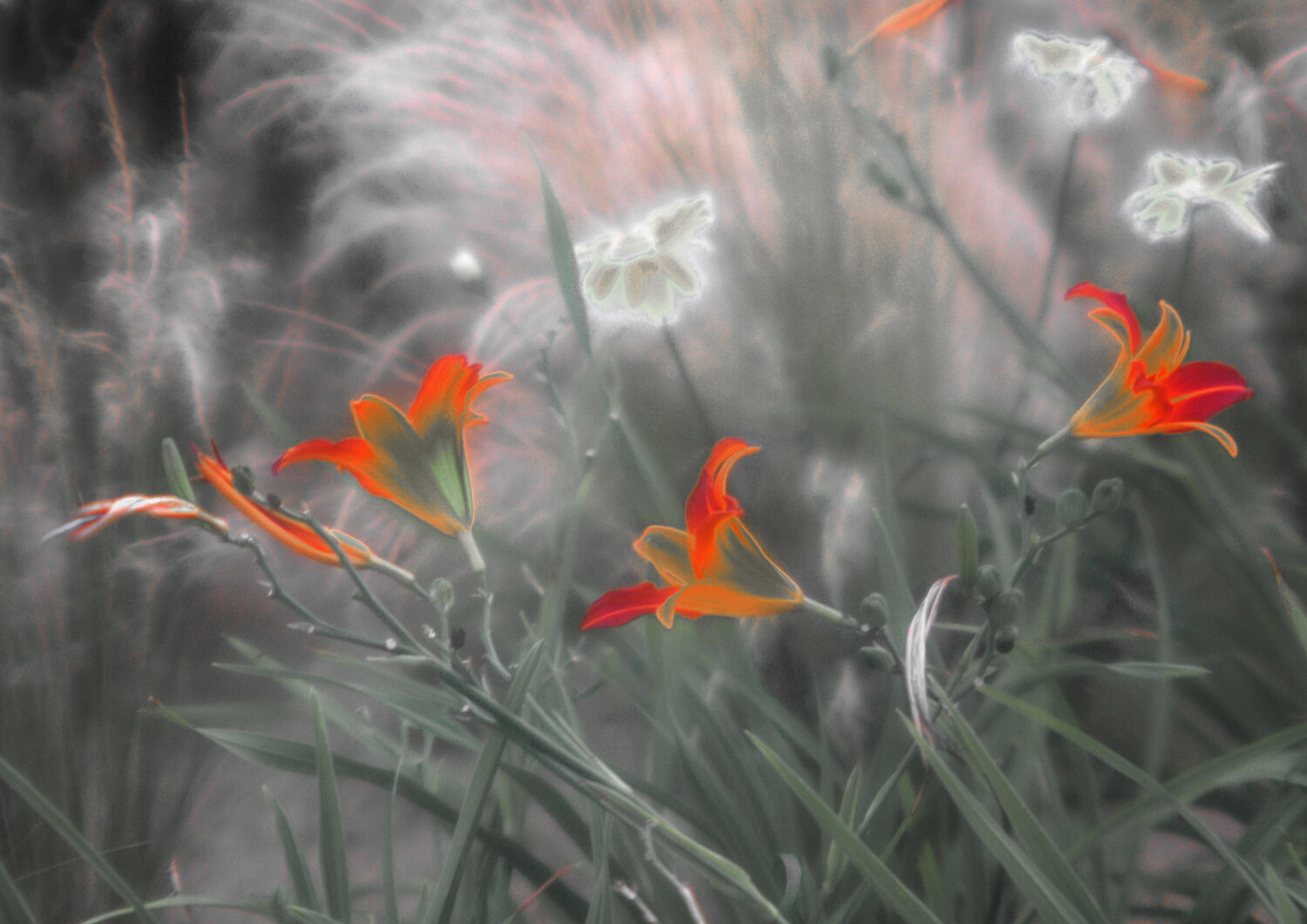 Fleurs célestes Michel Guillaumeau