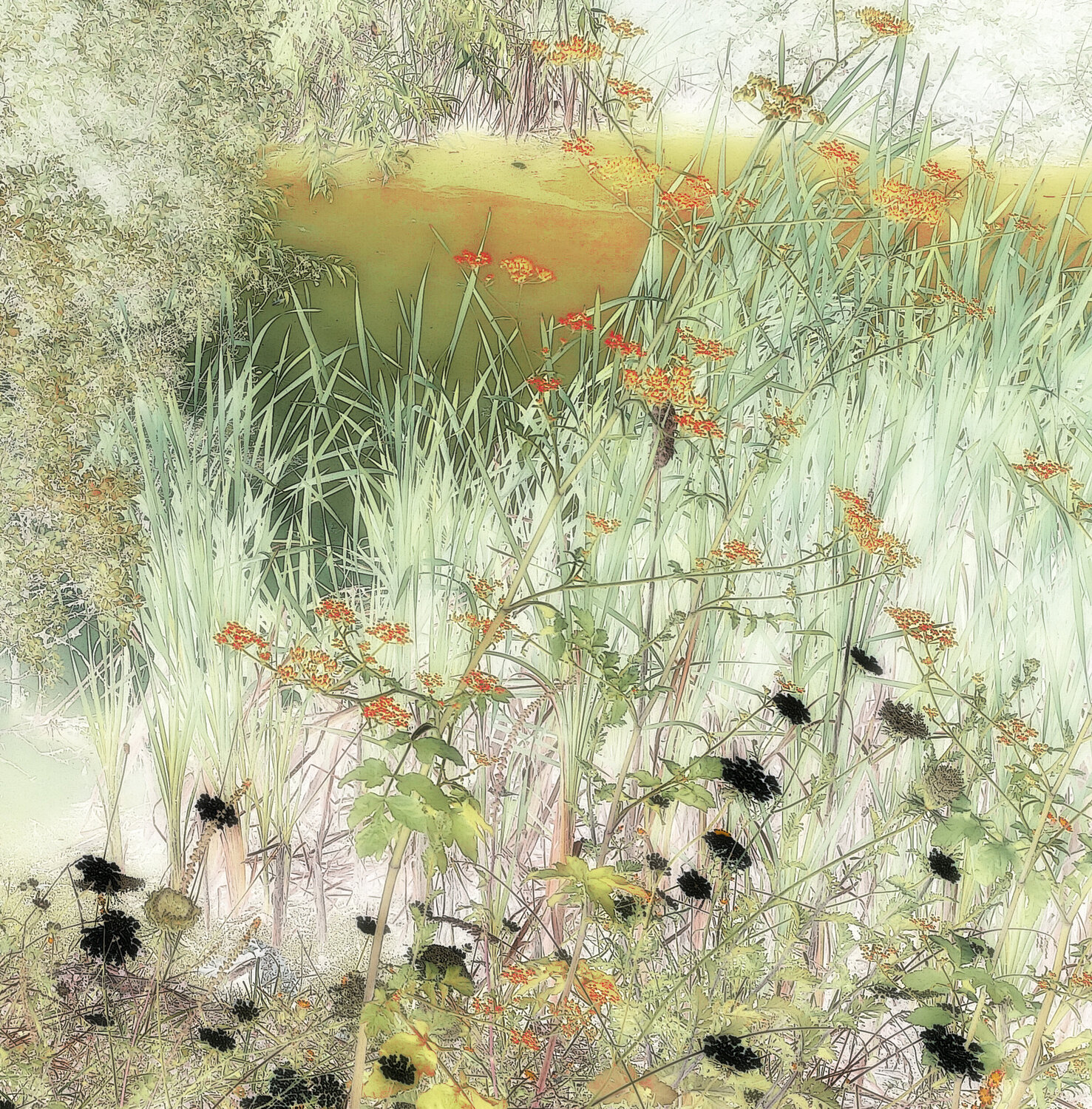 Herbes folles Michel Guillaumeau