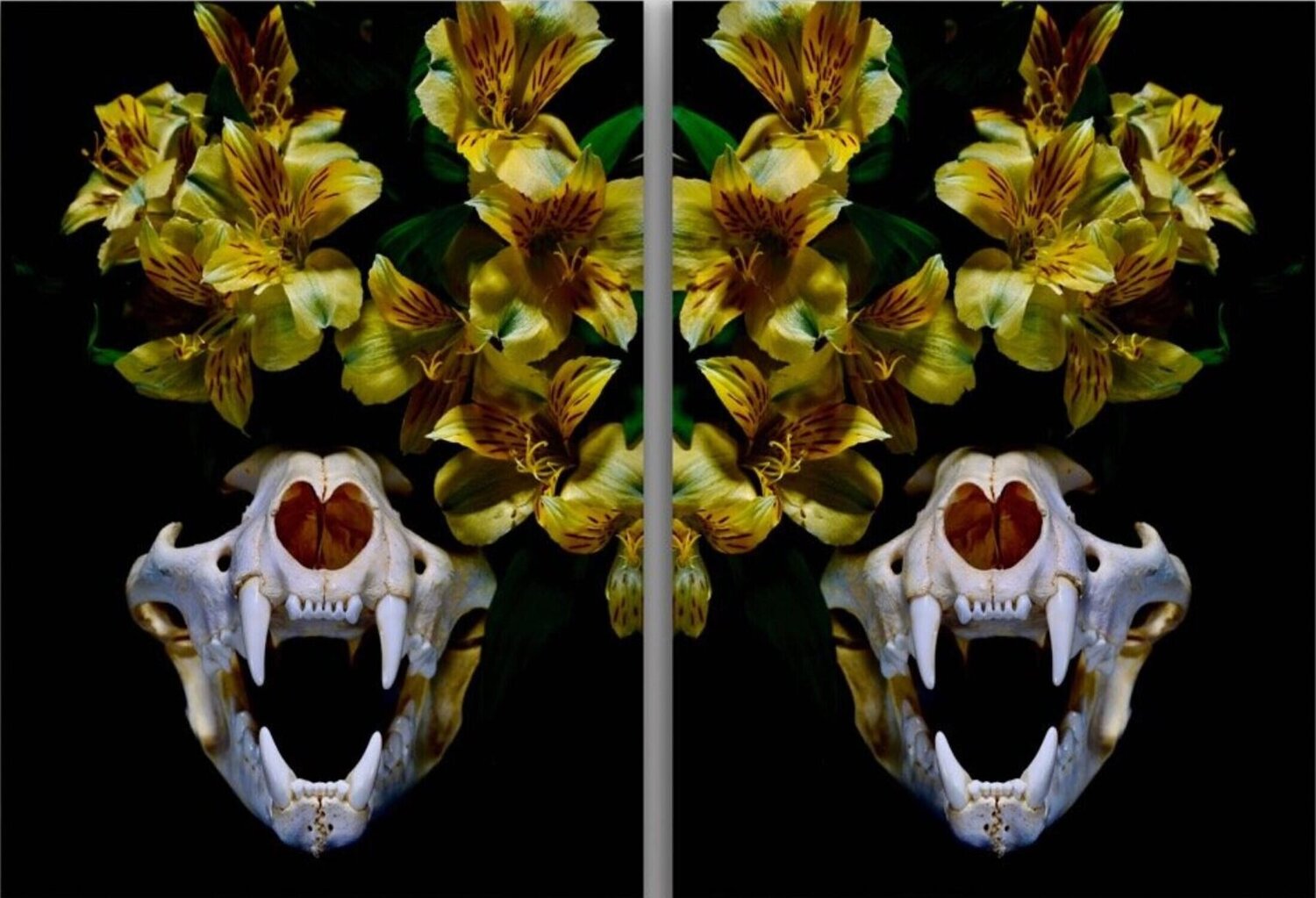 Flowers & Fangs David Stewart Brown