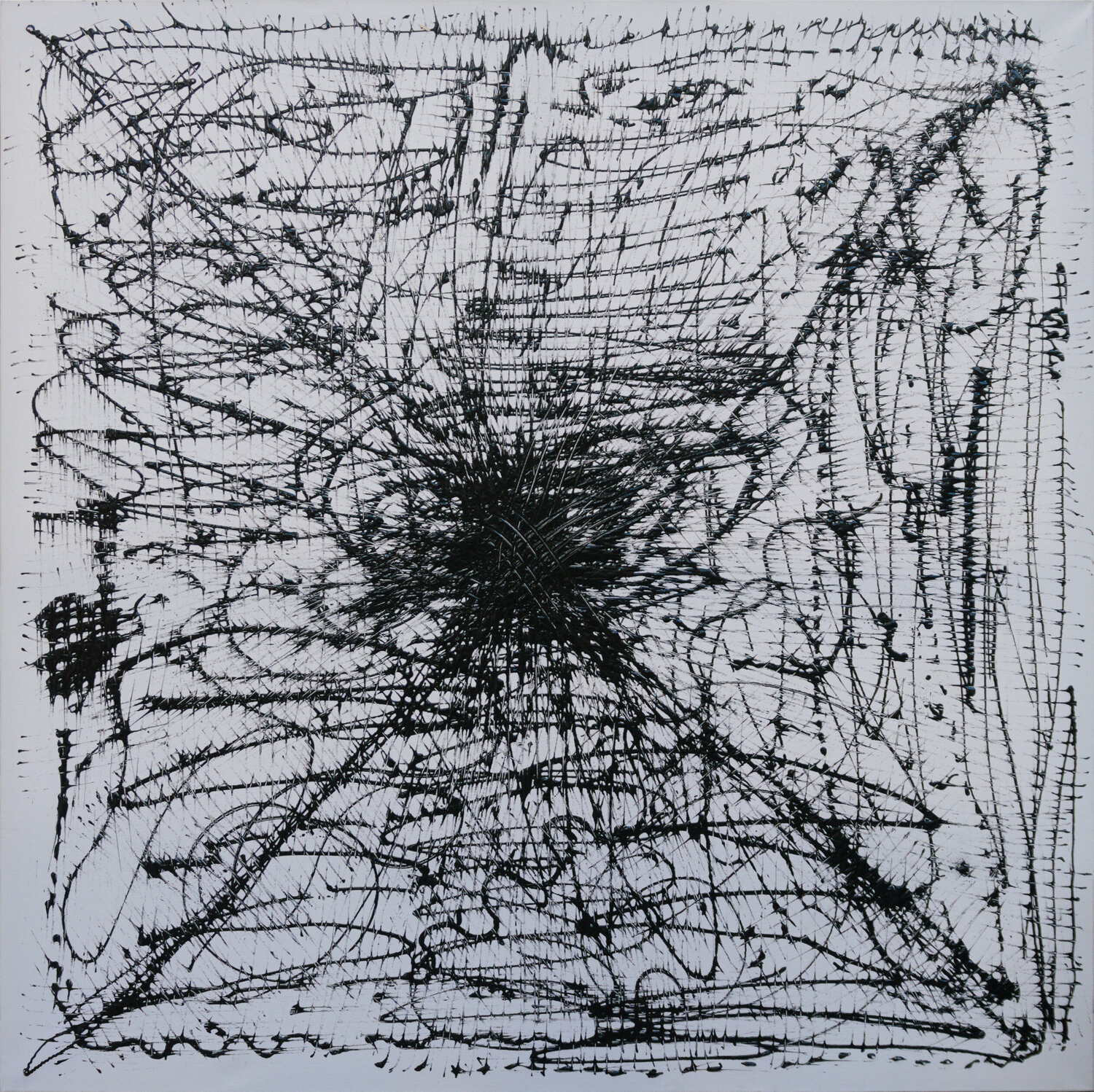 Spider Anger Sabine Schoen