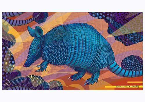 A Scaly Anomaly, Armadillo von Patricia MacCarthy, Druck kaufen auf Singulart