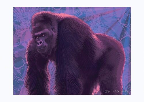 Monster On The Dance Floor, Gorilla Patricia MacCarthy