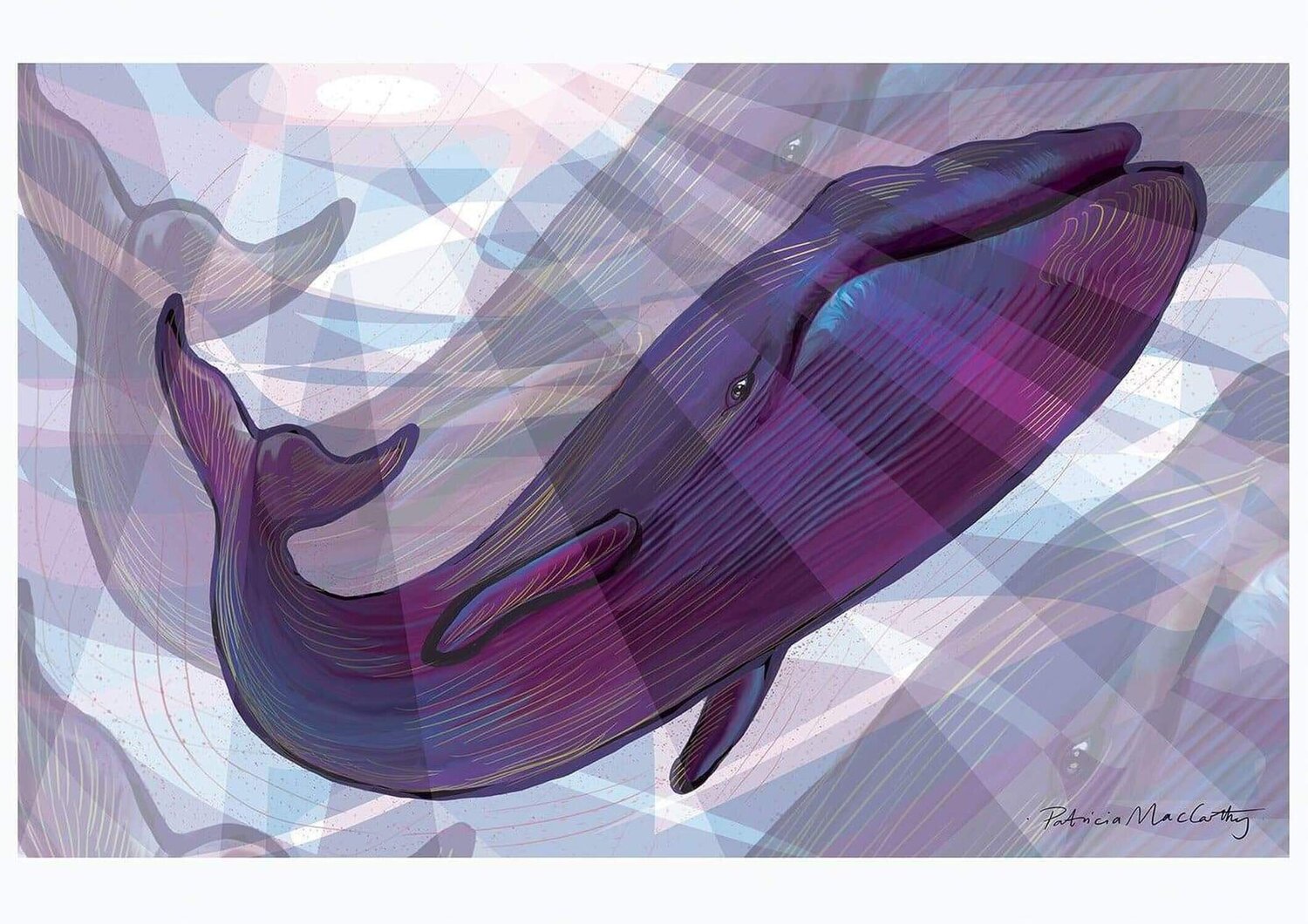 A Feather In The Air, Whale Patricia MacCarthy Druck zu verkaufen