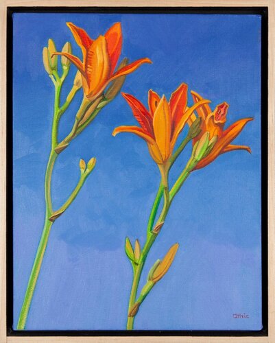 Day Lilies van Nora Othic, Schilderij te koop op Singulart