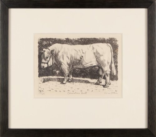 Charolais Bull van Nora Othic, Afdruk te koop op Singulart