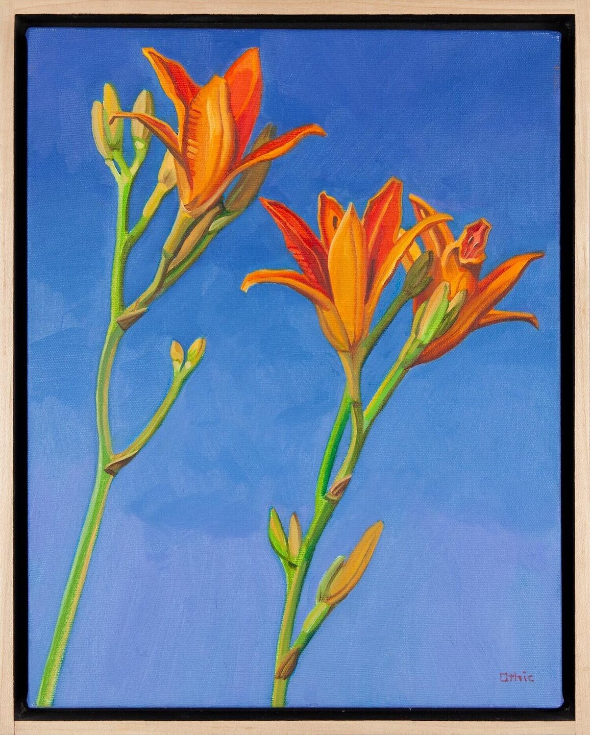 Day Lilies Nora Othic