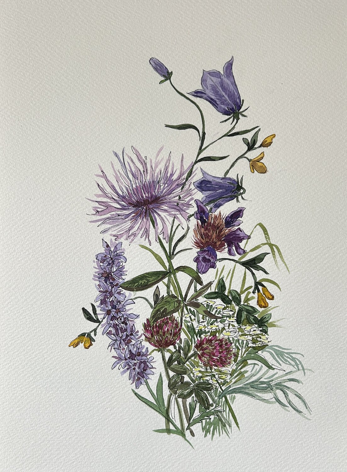 Alpine Meadow Gabriele Prismantaite