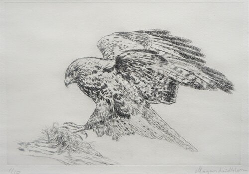 The Buzzard von Magnus Lindblom, Druck kaufen auf Singulart