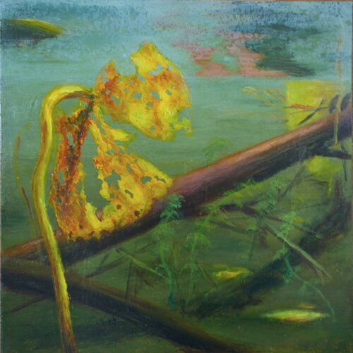 Autumn in the lake - under water landscape Magnus Lindblom