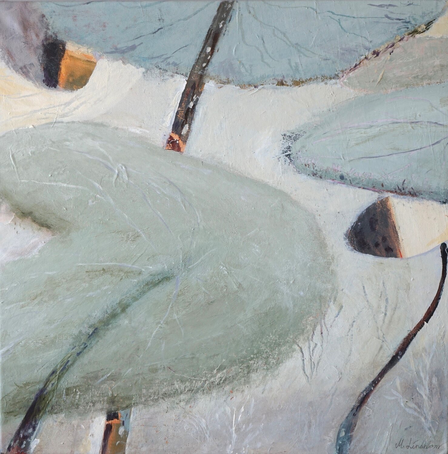 Waterlily dreams Magnus Lindblom