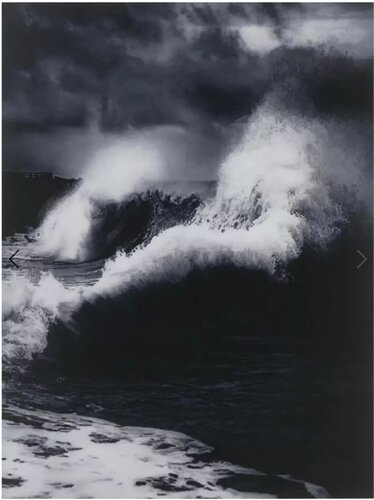 Damien Hirst, Faneel, H13-11, from Where the Land Meets the Sea, 2023 von Damien Hirst, Druck kaufen auf Singulart