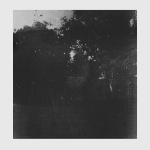 Wonderland 08 von Agnieszka Kamińska, Fotografie kaufen auf Singulart