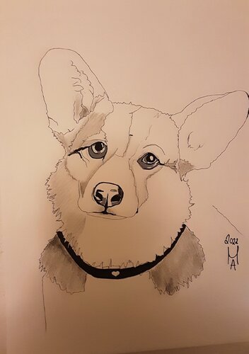 Il volpino inglese. von Angelo Marzullo, Malerei kaufen auf Singulart