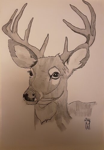 Il cerbiatto. par Angelo Marzullo, Peinture en vente sur Singulart
