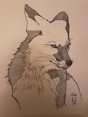 Der Fuchs par Angelo Marzullo, Peinture en vente sur Singulart