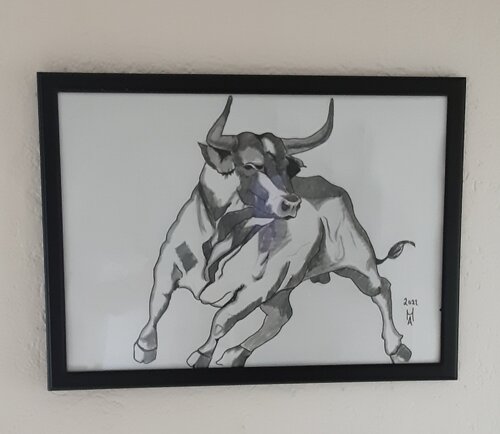 Toro Angelo Marzullo
