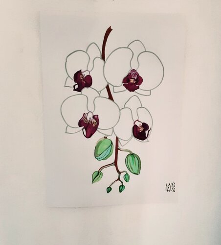 Seltene Orchidee van Angelo Marzullo, Schilderij te koop op Singulart