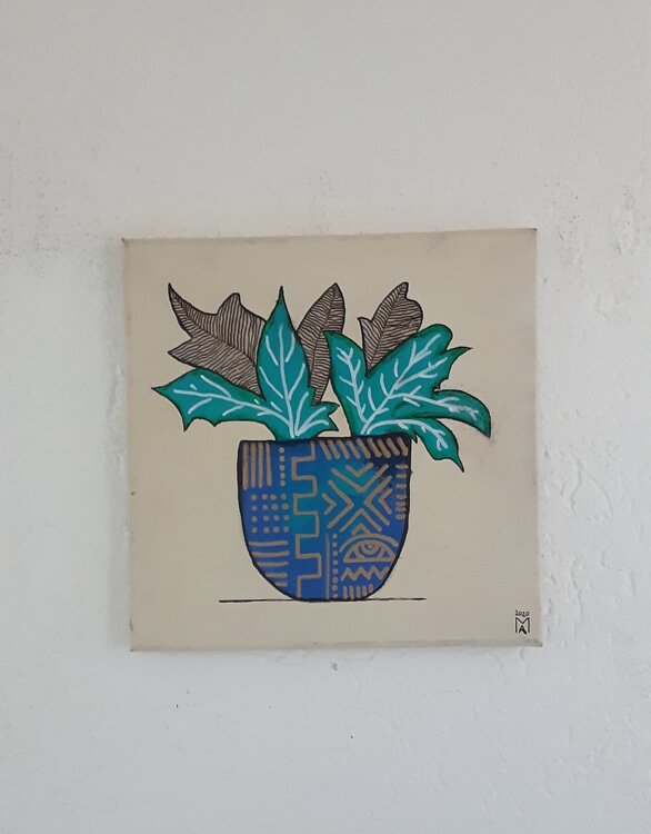 Exotische Zimmerpflanze. Angelo Marzullo