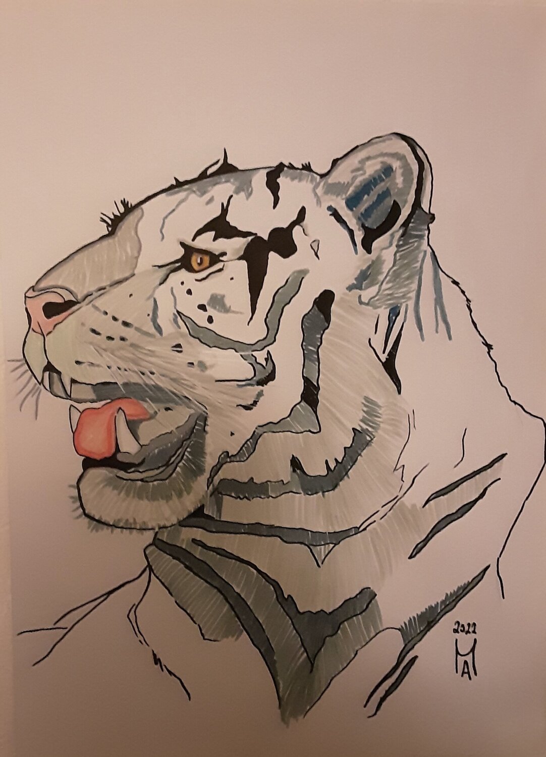 Sibirischen Tiger Angelo Marzullo