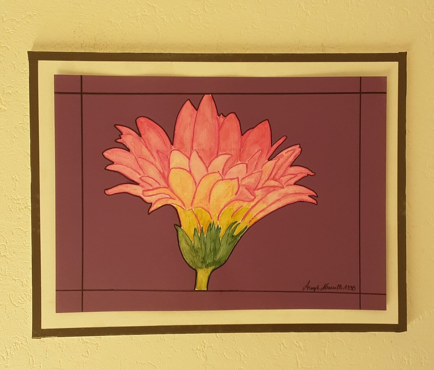 Pinke Gerbera Angelo Marzullo
