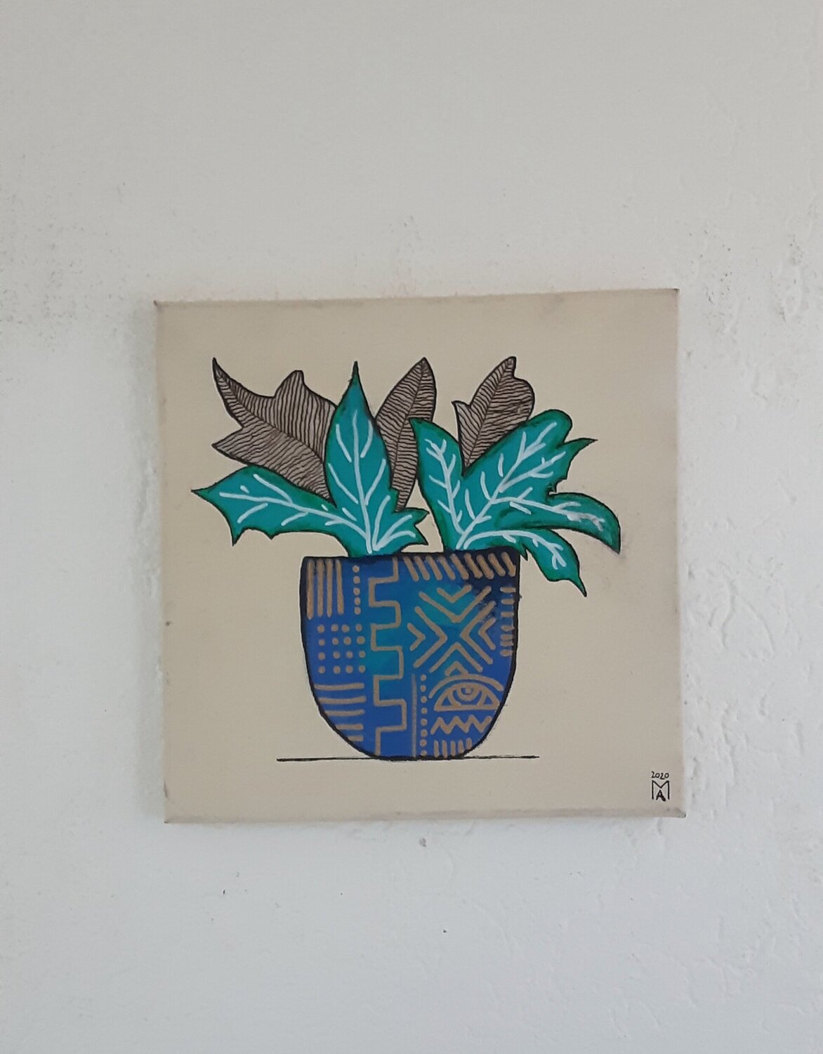 Exotische Zimmerpflanze. Angelo Marzullo