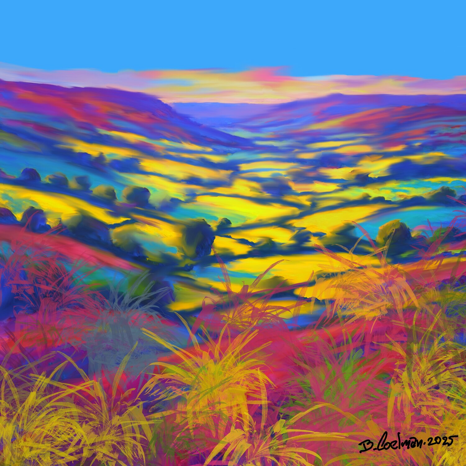 Landscape80 Berrie Coelman