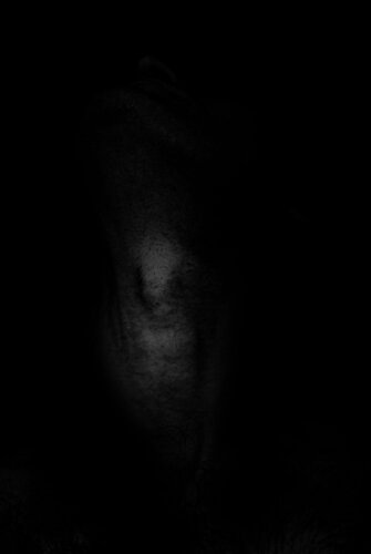 Edouard M. (Gorgeous V9 ‘Venus’) di Pauline Thomas, Fotografia in vendita su Singulart