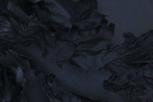 Feuilles mortes I di Pauline Thomas, Fotografia in vendita su Singulart