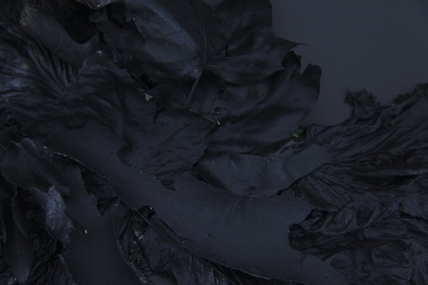 Feuilles mortes I Pauline Thomas