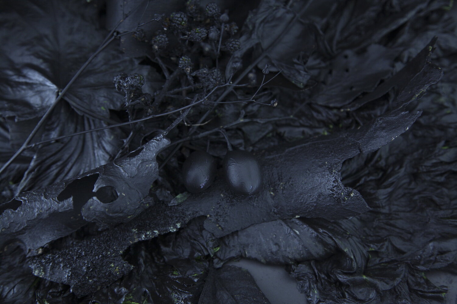 Feuilles mortes I Pauline Thomas