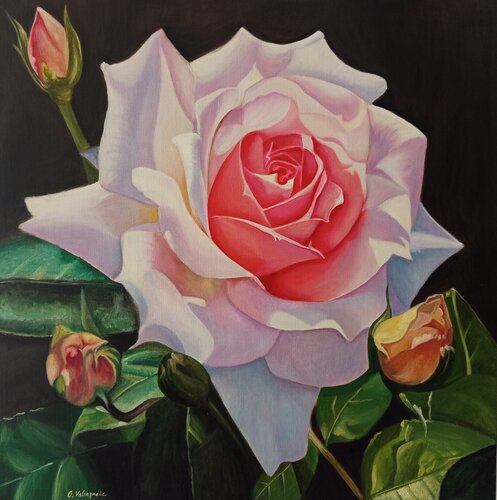 Königin der Nacht van Olga Valenzuela, Schilderij te koop op Singulart
