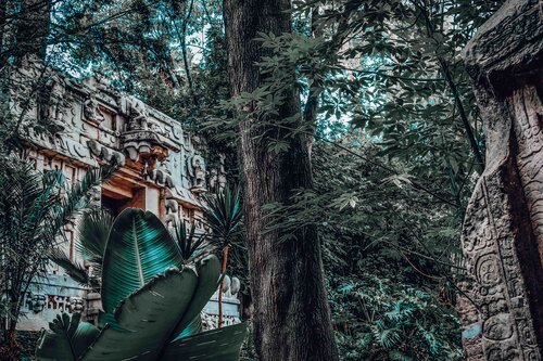 Mystisches Maya-Land: Im Urwald von Yucatan by Andreas Bromba, Photography for Sale on Singulart