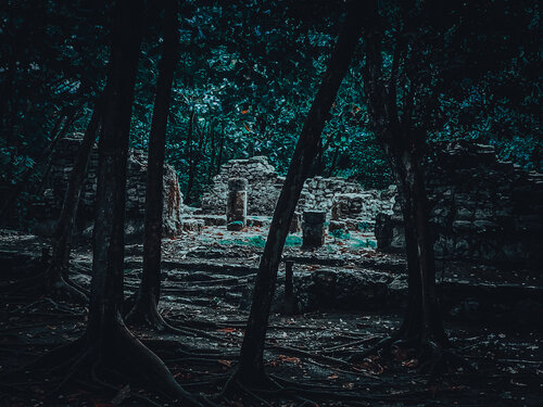 Mystisches Maya-Land: Im Urwald von Yucatan (bei Cancun) by Andreas Bromba, Photography for Sale on Singulart