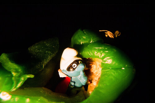 Gut getarnt! (Schlumpf in grüner Paprika) by Andreas Bromba, Photography for Sale on Singulart