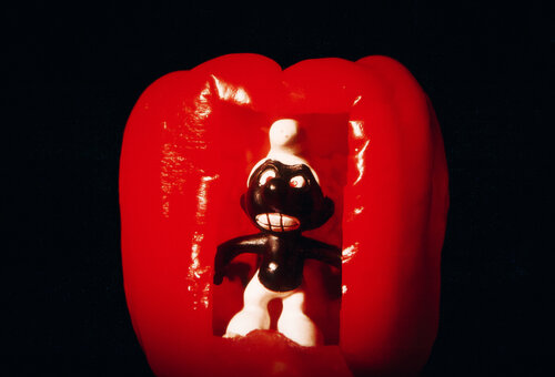 Wer stört? (Schlumpf in roter Paprika) by Andreas Bromba, Photography for Sale on Singulart