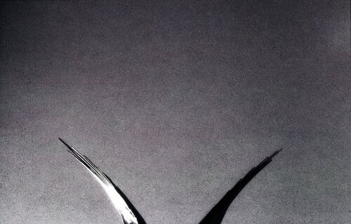 berlin minimal: Die Flügel der Viktoria by Andreas Bromba, Photography for Sale on Singulart