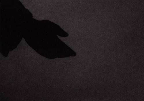 berlin minimal: Die Hand des Comenius by Andreas Bromba, Photography for Sale on Singulart