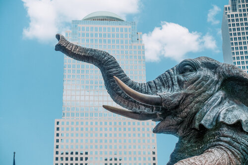 New York: Wer hätte das gedacht: Ein Elefant am Ground Zero? by Andreas Bromba, Photography for Sale on Singulart