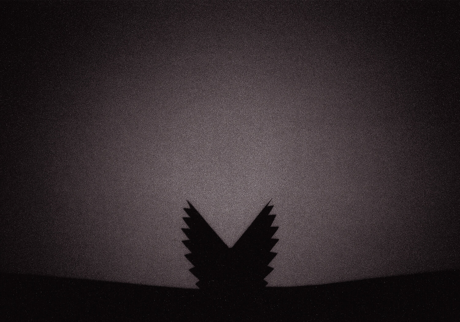 berlin minimal: Der Phönix erwacht Andreas Bromba
